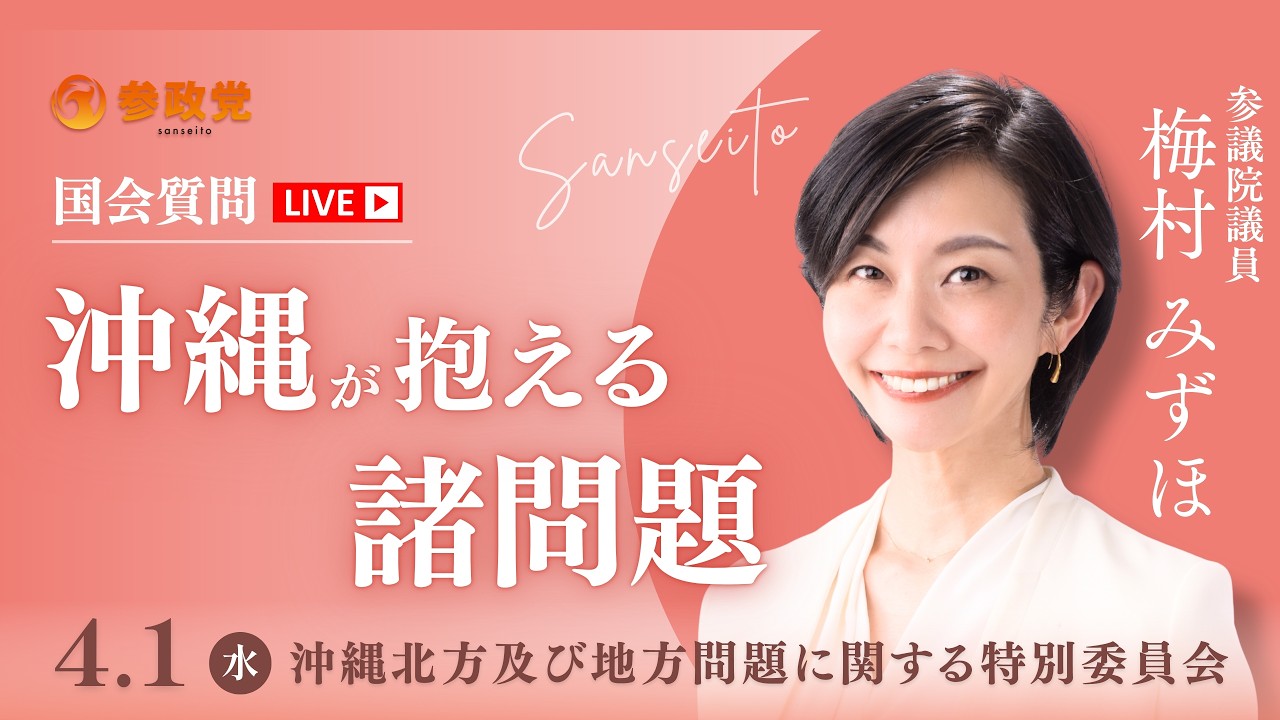 【国会中継】「沖縄が抱える諸問題」 参議院議員 梅村みずほ 国会質疑 令和8年4月1日 参政党