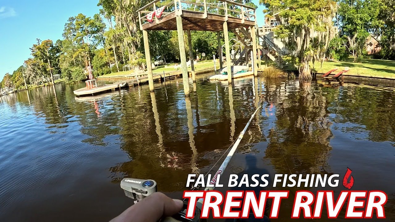 Fall Bass Fishing  - The Trent River 2025