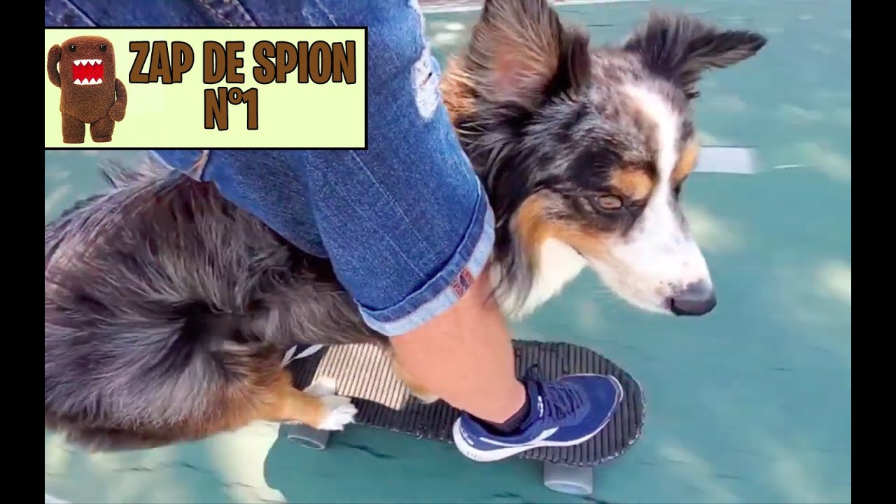 Zap de Spion N&deg;1