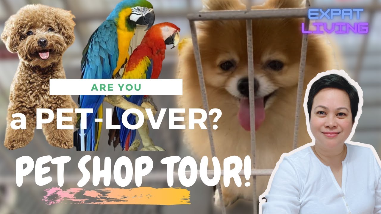ARE YOU A PET LOVER? PET SHOP TOUR IN ABU DHABI! | Leah Acebuche