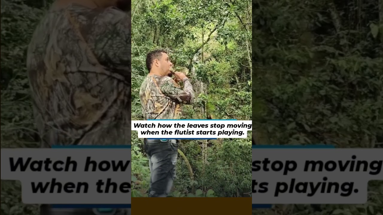The Wind Stopped When He Played the Flute.