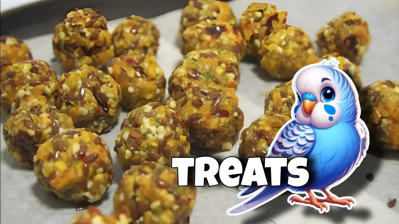 Homemade Nutritious Budgie Treats | Recipe