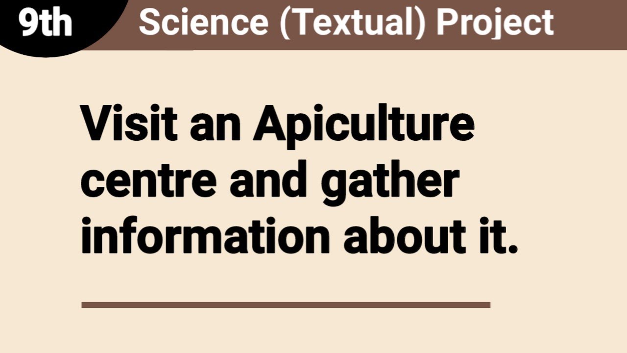 Visit an Apiculture centre and gather information about it | Science Project | 9th | Solution Buddy