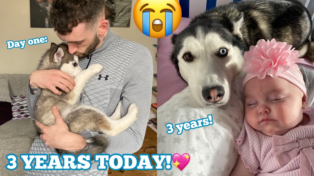 LOLA IS 3 TODAY!!😭 [FULL 3 YEAR STORY!]