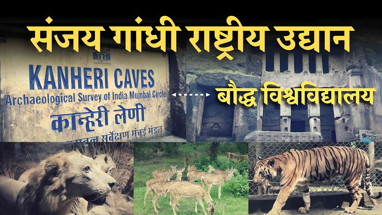 Sanjay Gandhi National Park Mumbai Complete Tour | Kanheri Caves | Tiger Safari | SGNP