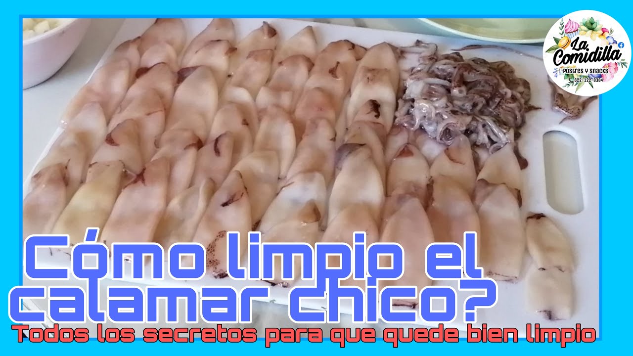 COMO LIMPIAR CALAMAR CHICO / Calamar Pequeño / Calamar Baby