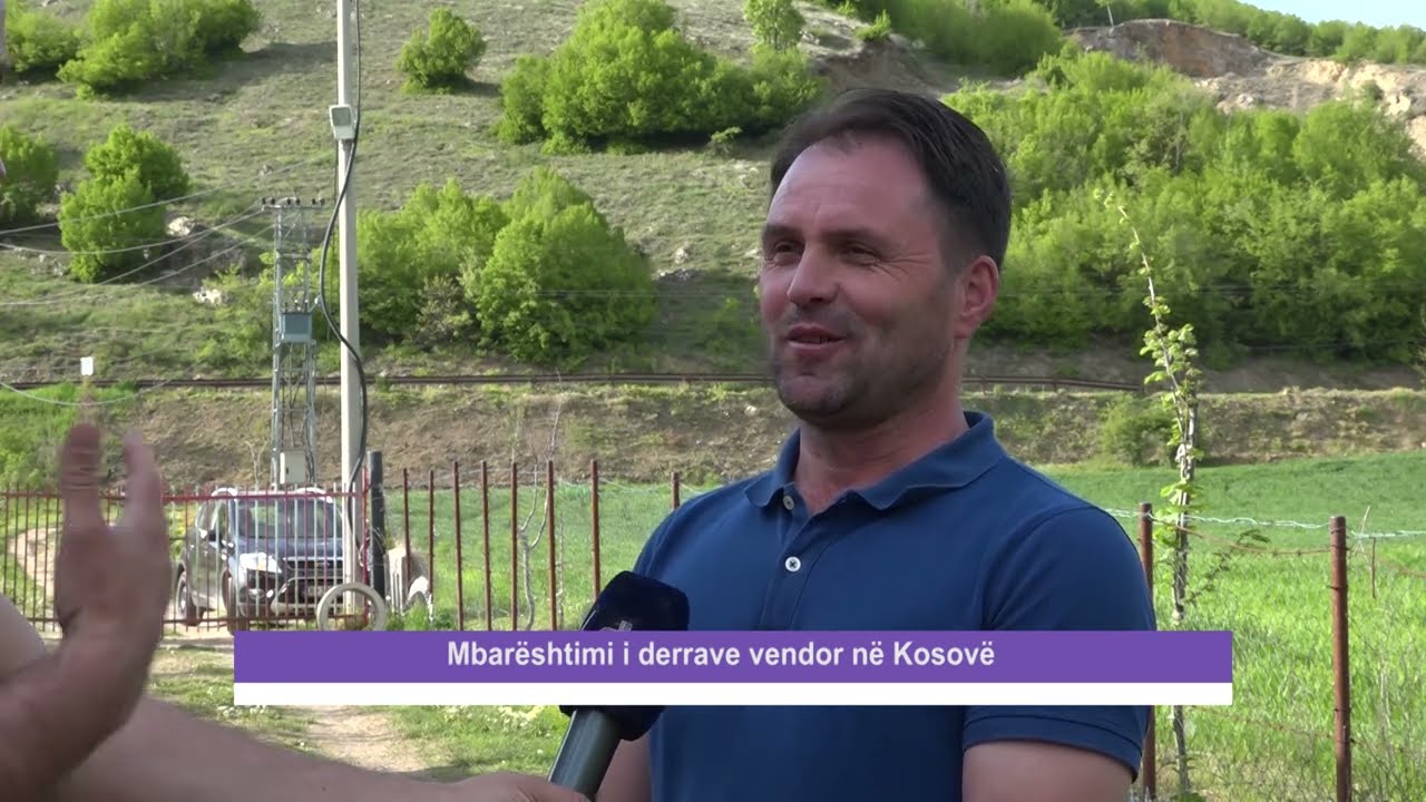 Mbarështimi i derrave vendor në Kosovë