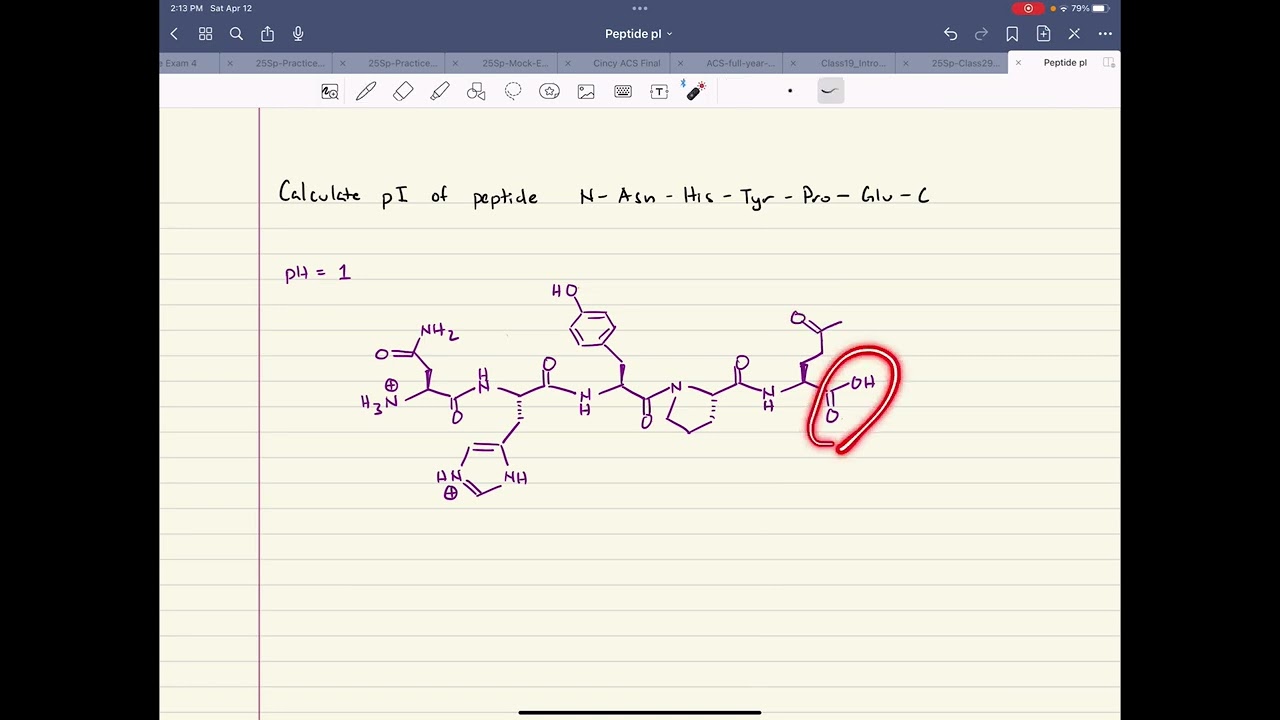 Calculate the pI of a pentapeptide