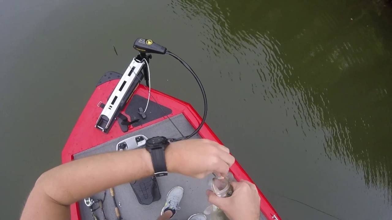 Evergreen Combat Crank in action plus review