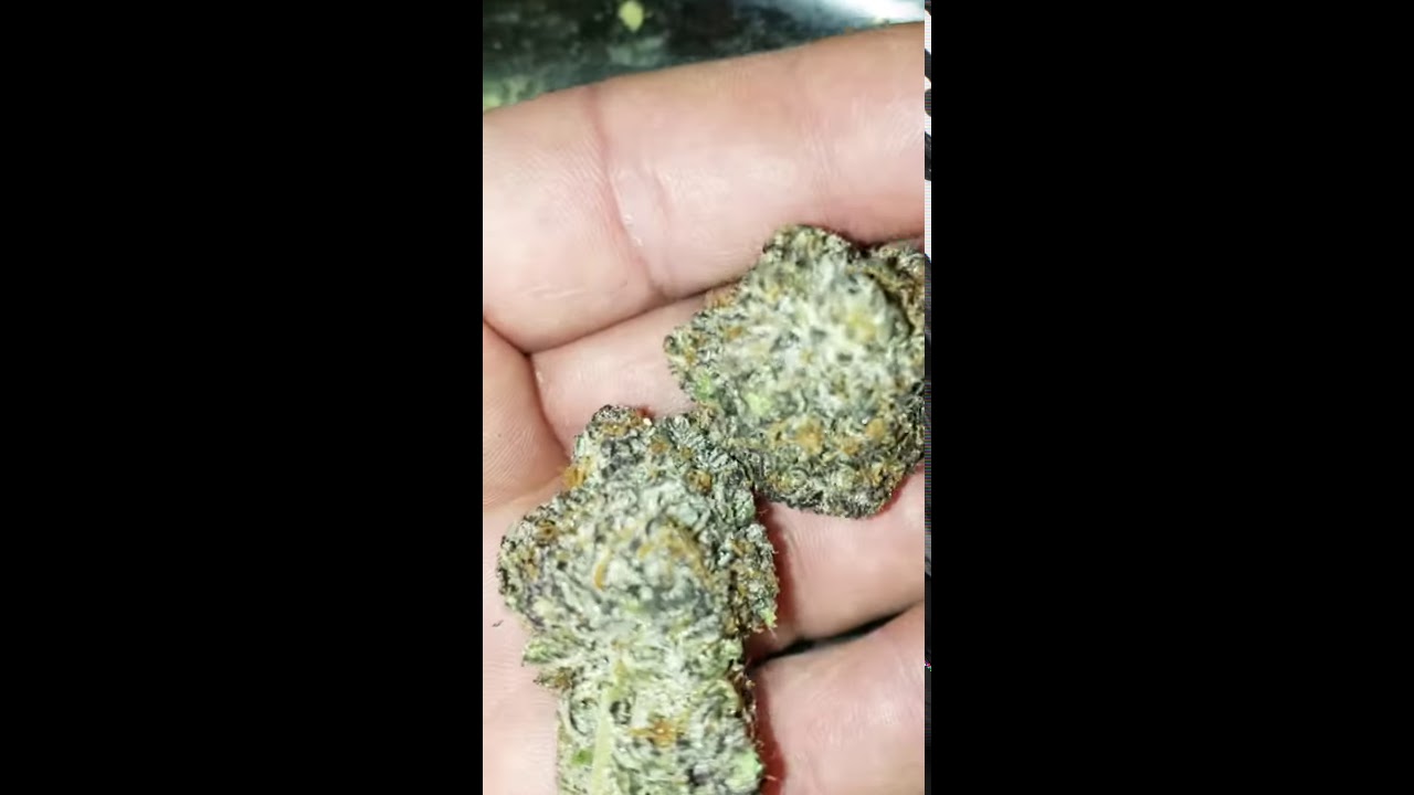 Dosidos