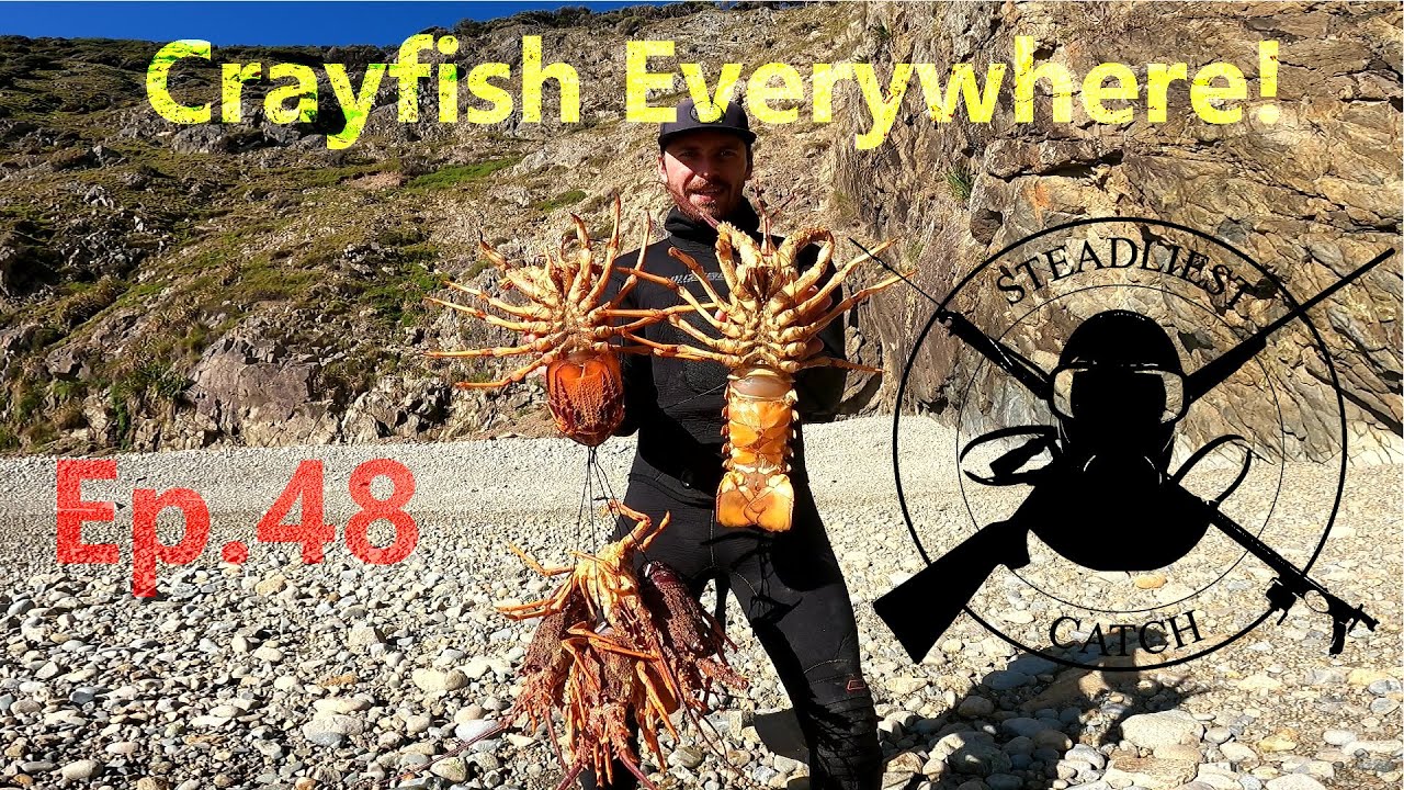 Hit the CRAYFISH Honey Hole | Steadliest Catch | Lobster NZ