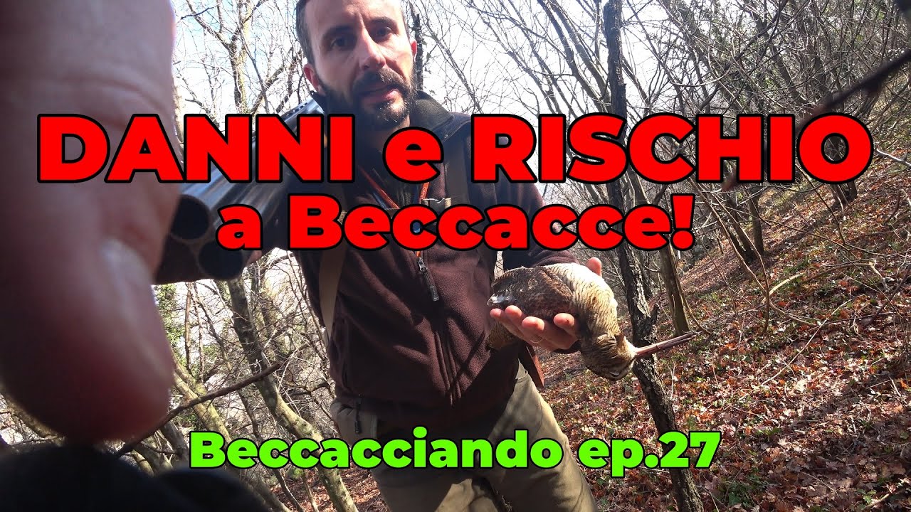 DANNI E RISCHIO a Beccacce! (Beccacciando Ep.27)