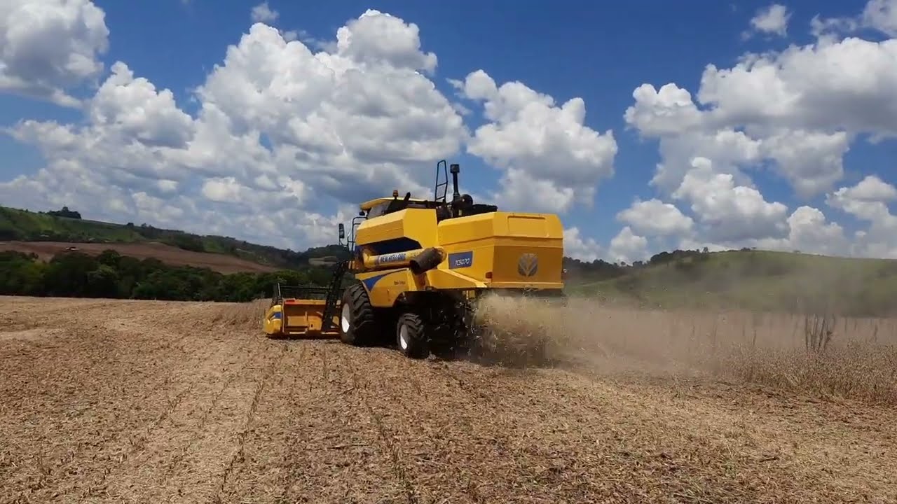 SAFRA DE SOJA A TODO VAPOR! Soja Brasmax Lança.