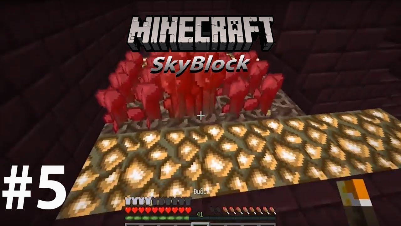 Minecraft Skyblock #5 Mini farm wither skeleton & Blaze Farm - Timelapse