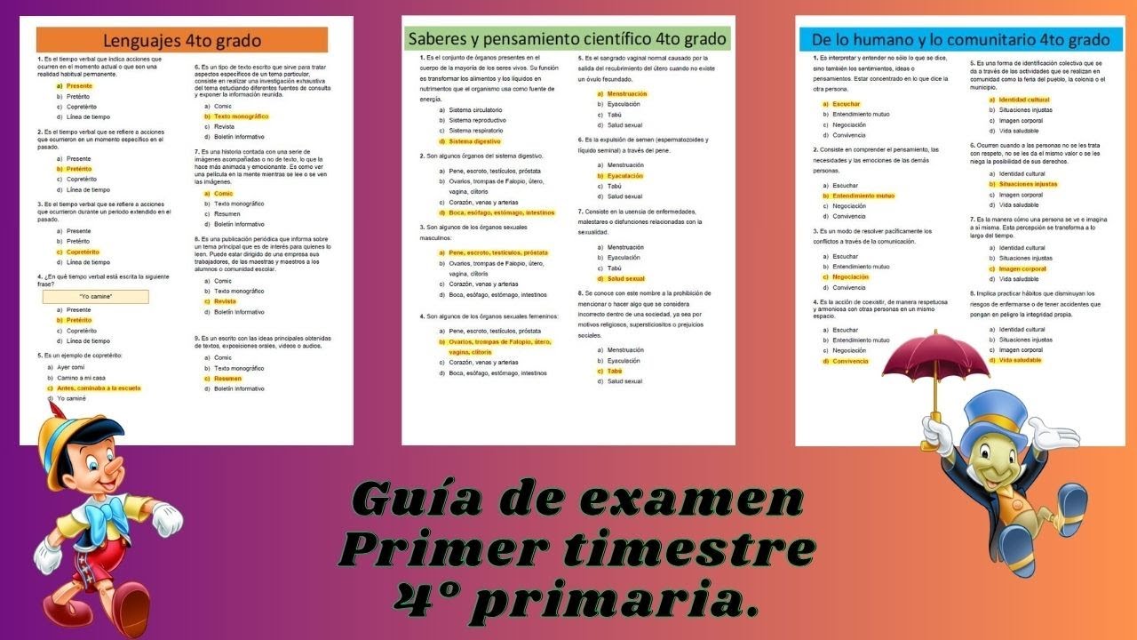 Guía de estudio primer trimestre 4° primaria