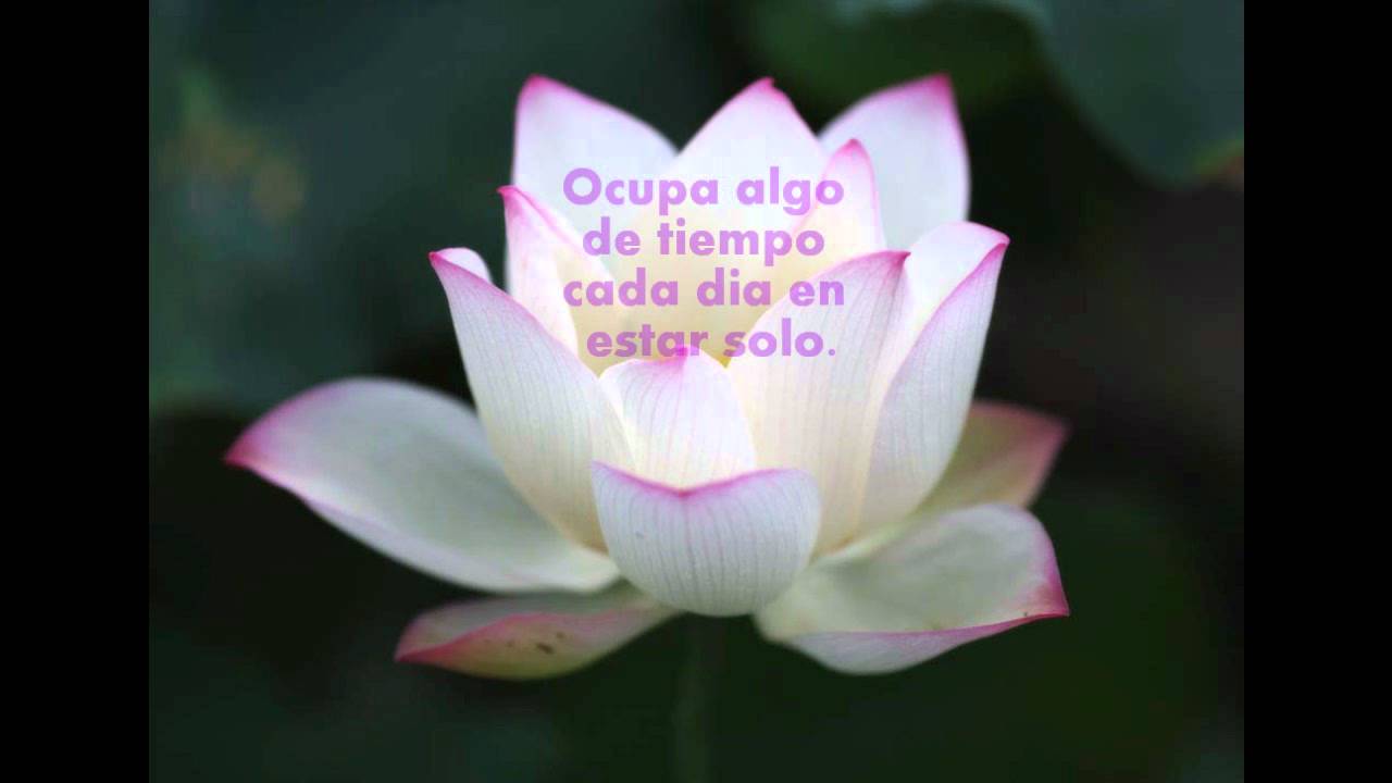 CONSEJOS BUDISTAS
