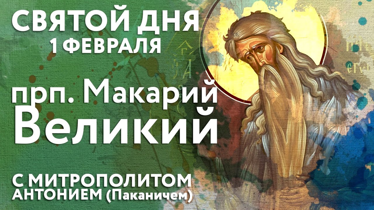Святой дня. 1 февраля. Преподобный Макарий Великий, Египетский.