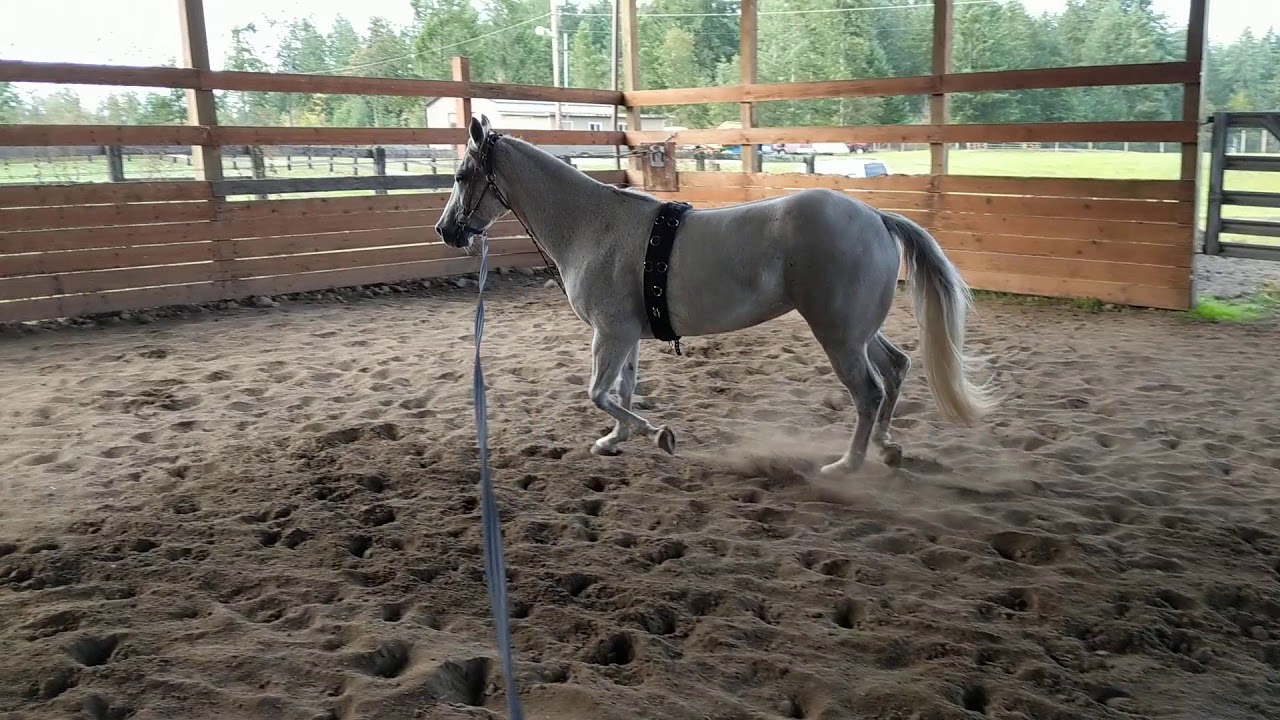 Sugar first time with the chambon 10/5/2019