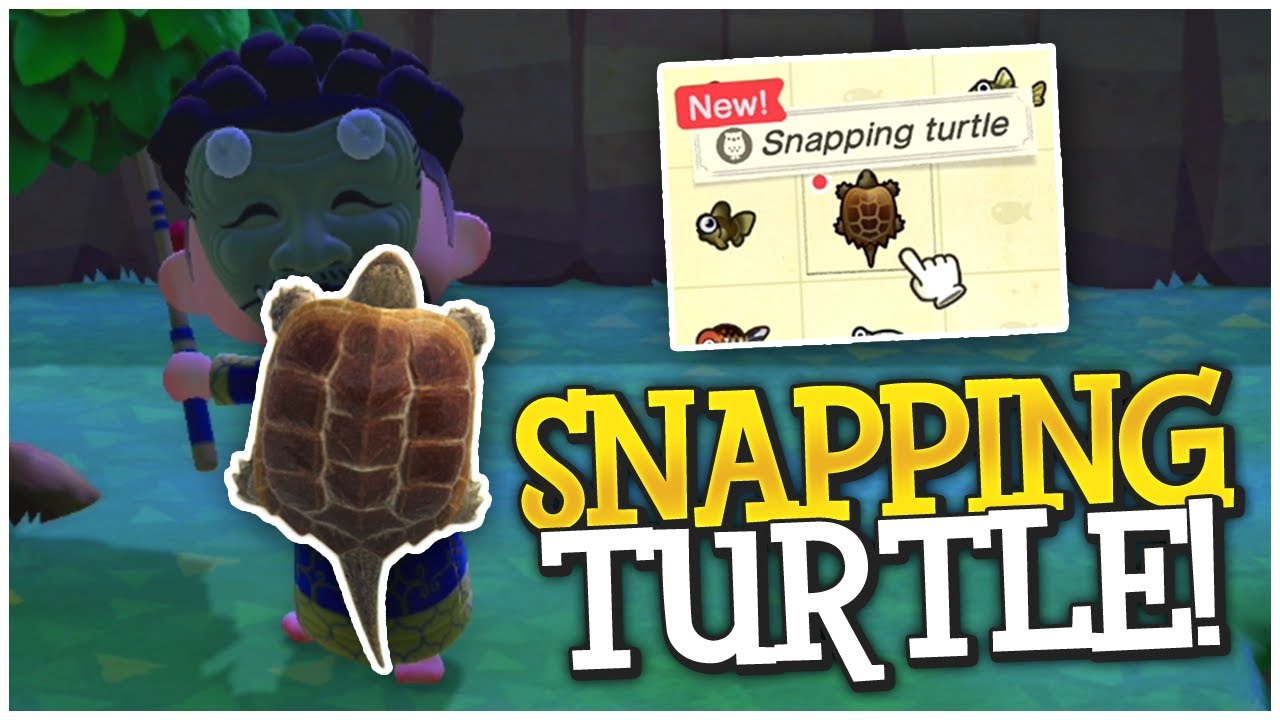 SO LUCKY! How To Catch A Snapping Turtle! - Animal Crossing New Horizons