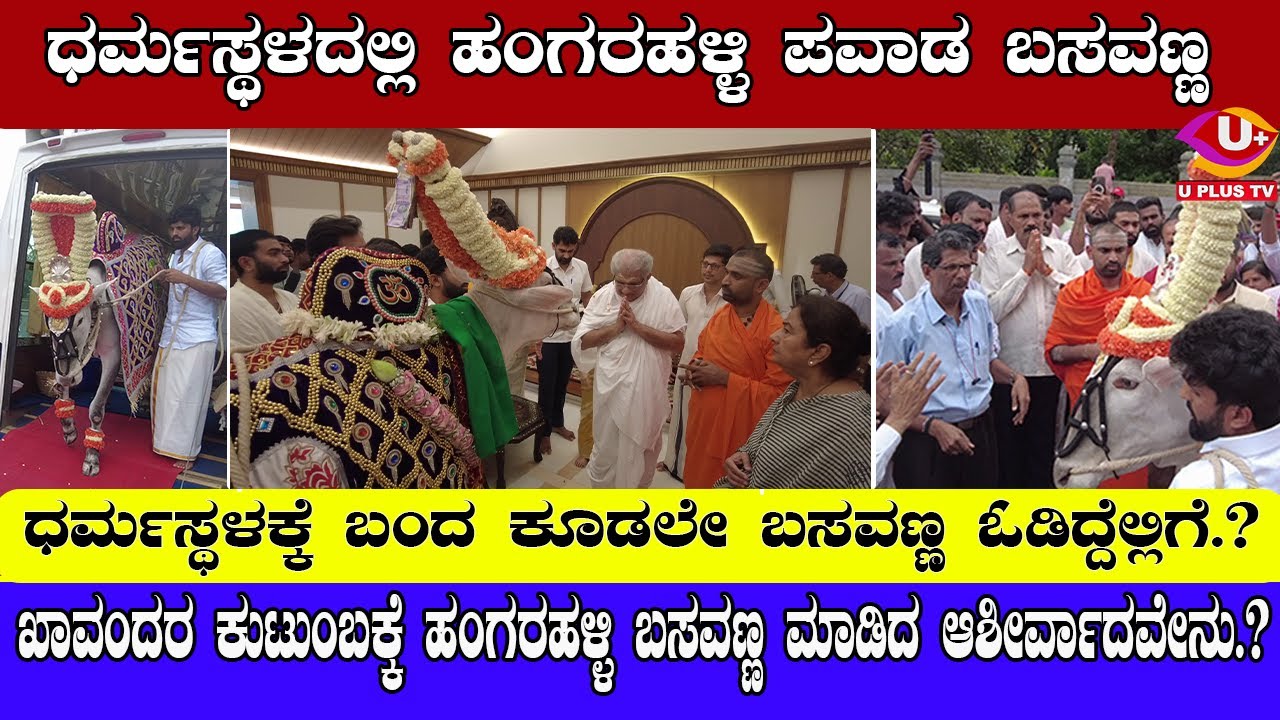 DHARMASTHALA : ಧರ್ಮಸ್ಥಳಕ್ಕೆ ಬಂದ ಕೂಡಲೇ ಬಸವಣ್ಣ ಓಡಿದ್ದೆಲ್ಲಿಗೆ..? | U PLUS TV