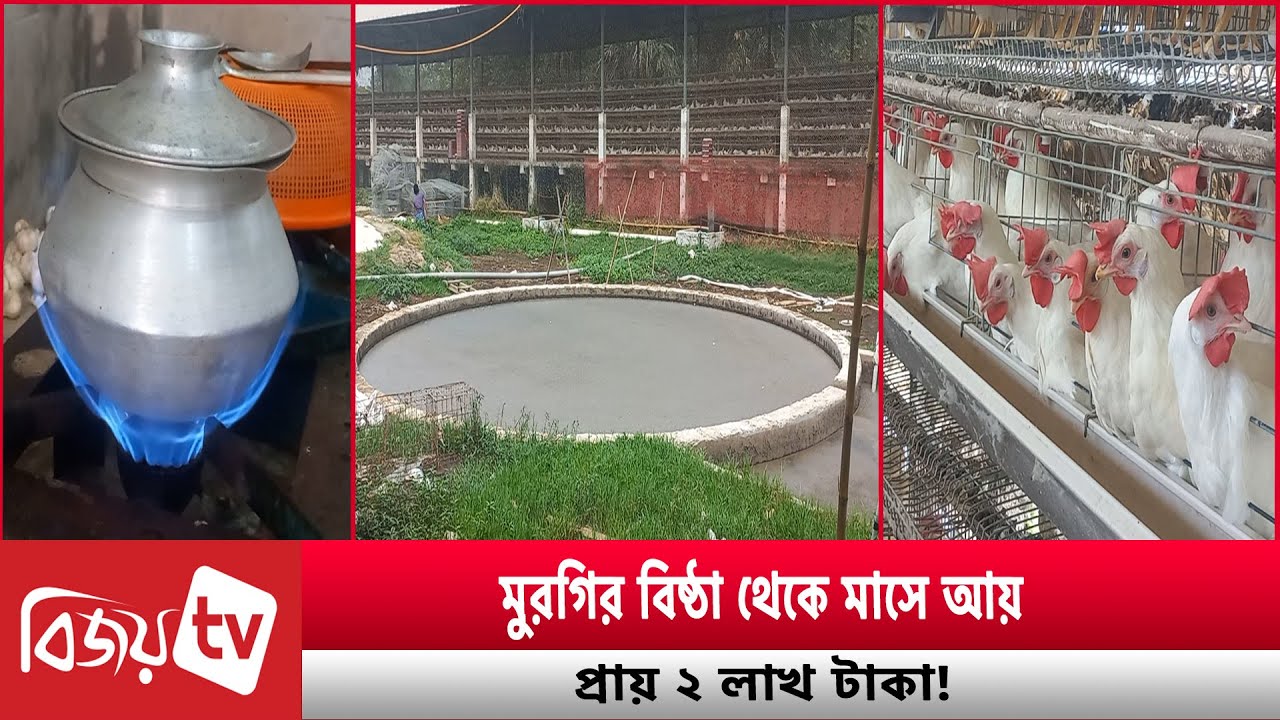 মুরগির বিষ্ঠা থেকে মাসে আয় প্রায় ২ লাখ টাকা! Bijoy TV
