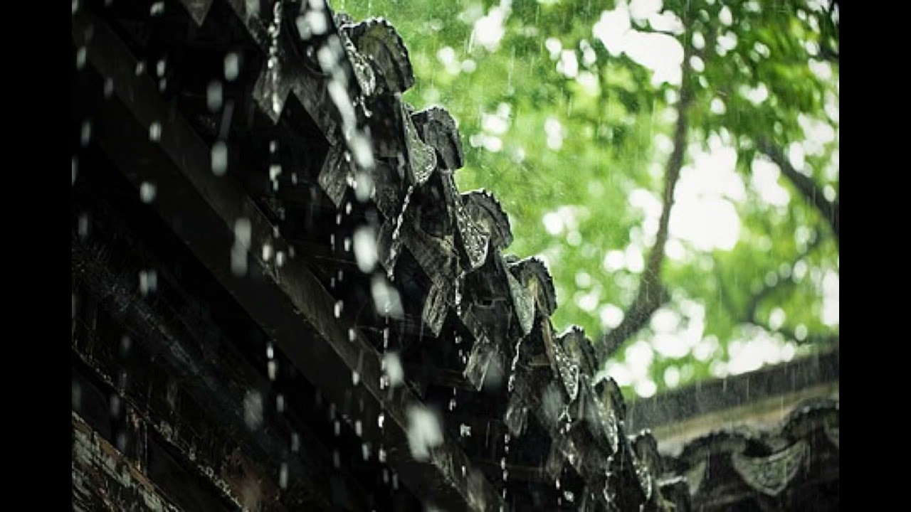 Erhu: Listen to the Rain on the Mountainside 半山听雨 二胡 week 11