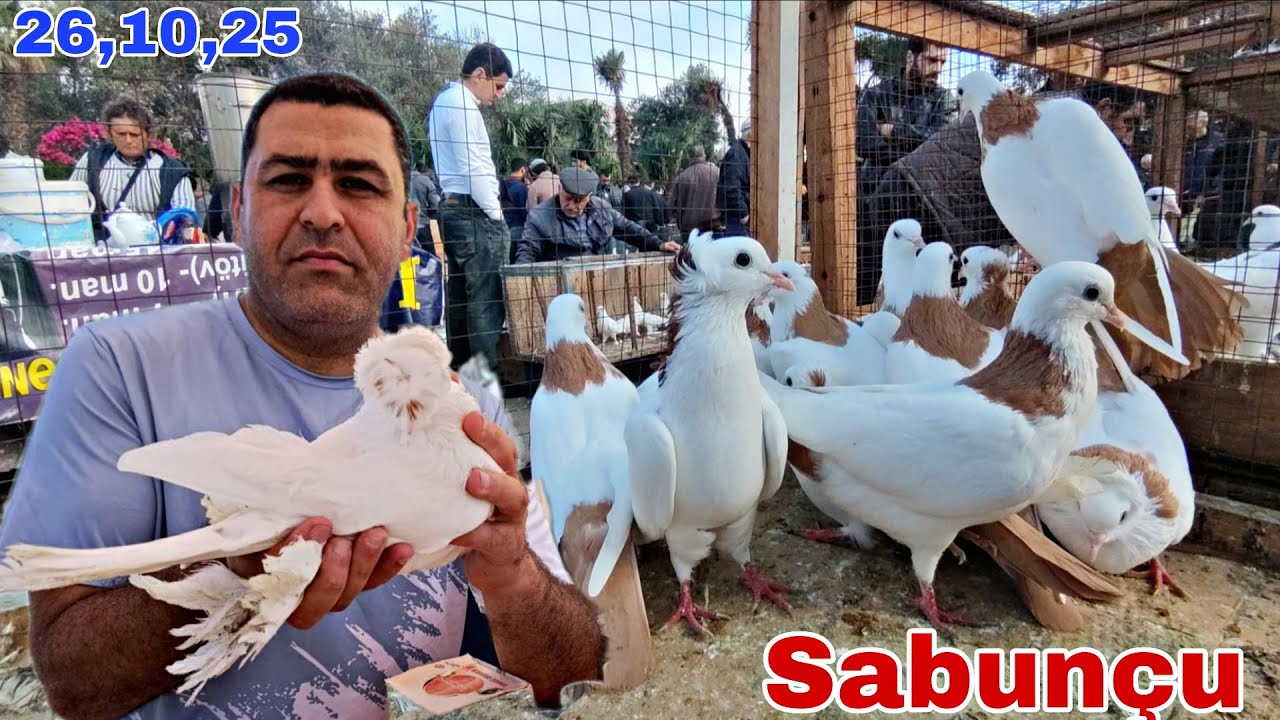 Sabun&ccedil;u Quş Bazarı 26 Oktyabr 2025