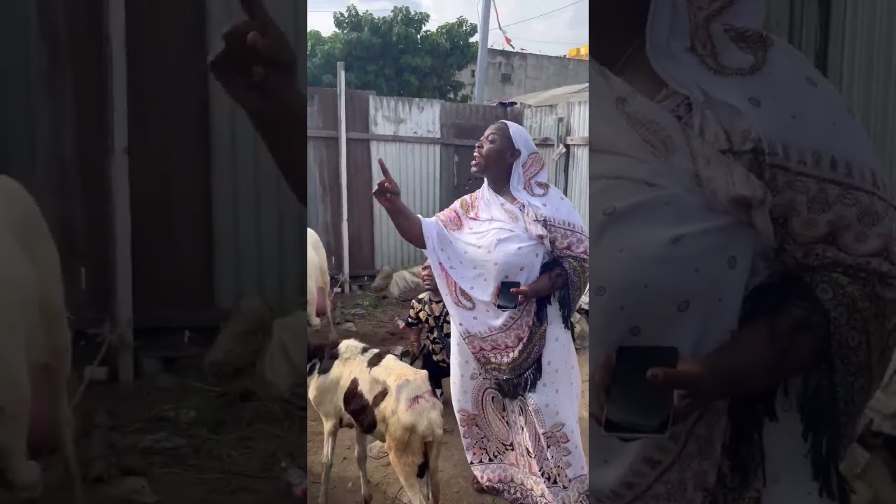 Affaire de mouton de Tabaski avec la vieille mère Nouchi ??🤣