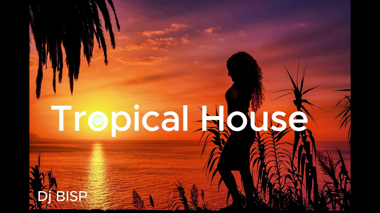 EDM Tropical House - Chillout Music / Deep House / Dancing / Relaxing / Lo-Fi Vibes Vol.5 [Dj BISP]