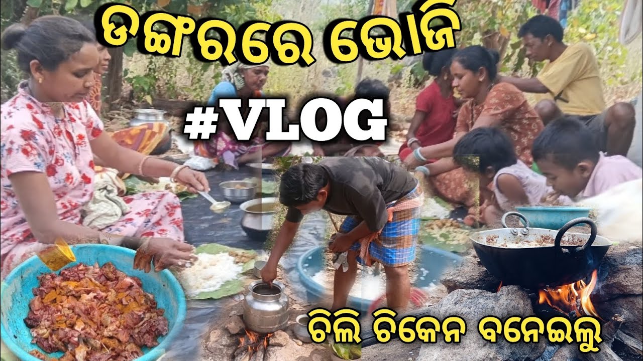 😍ଡଙ୍ଗରରେ ଭୋଜି କଲୁ || ଚିକେନ🐓 ରୋଷେଇ ପାଇଁ ହାଣ୍ଡି problem ହେଲା 😟😟😟