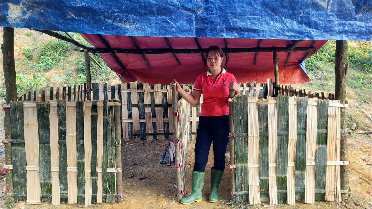 The process of expanding the duck and geese farm of A Lu family.