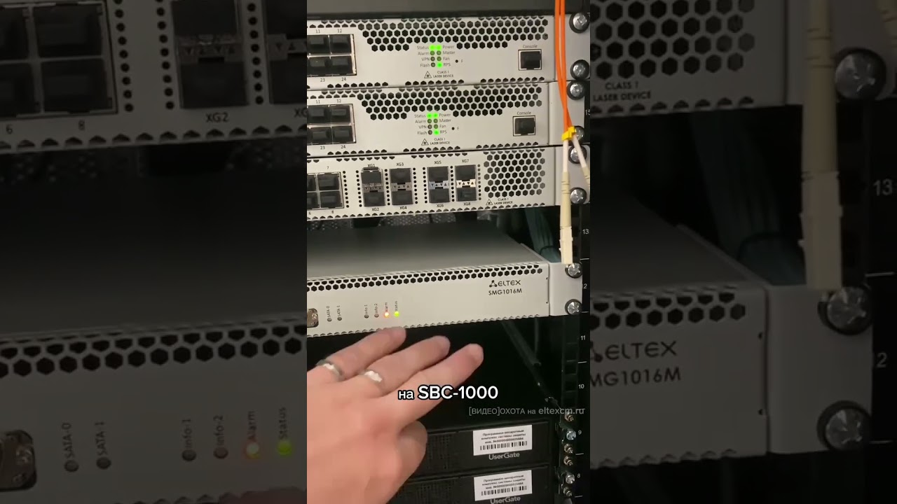Абонентский шлюз SBC-1000 Eltex. Видео[Охота] на eltexcm.ru
