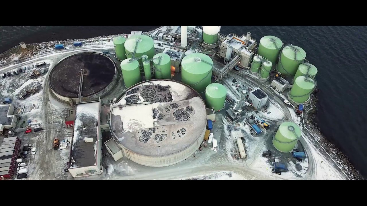 Liquid biogas - the ultimate green alternative