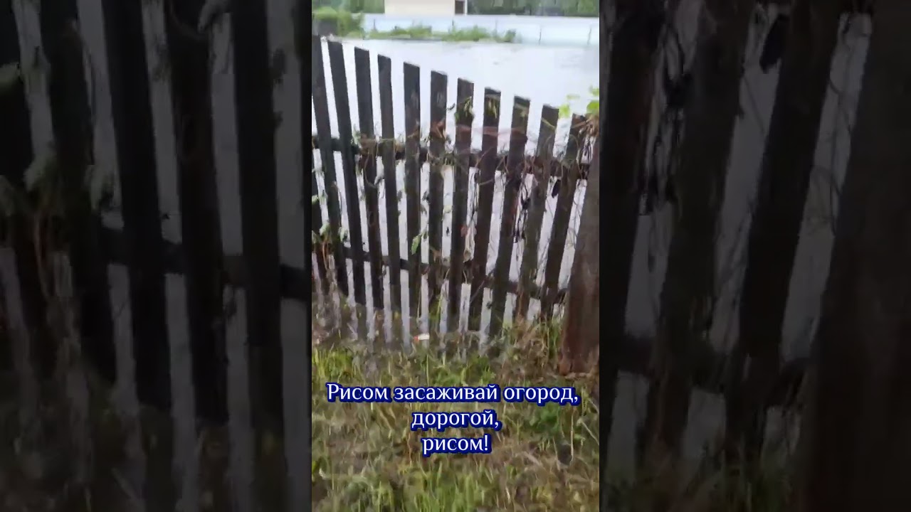Стихия в Ельске