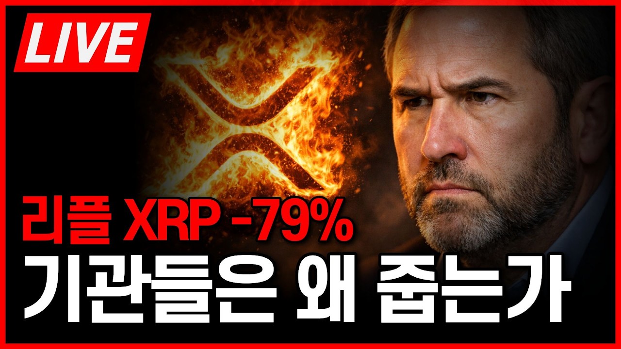 리플 XRP 손실보는 개인투자자, 기관들은 왜 줍는가?