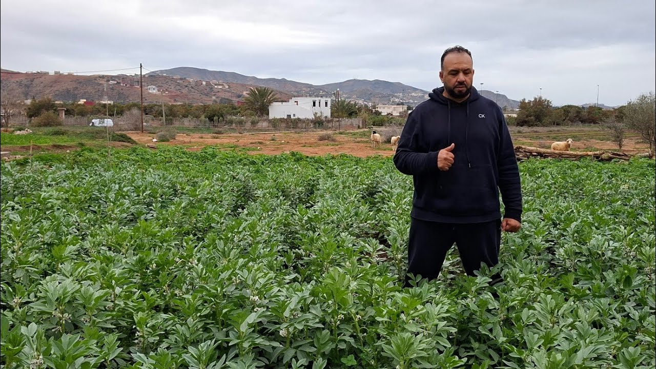 فرجة ممتعة من بلدة  أيت قمرة حندون بني عبد الله إقليم الحسيمة