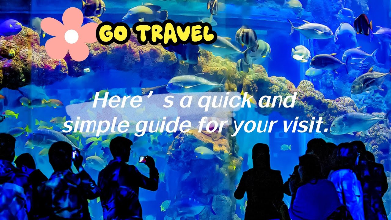 Don&rsquo;t miss out on the Nanning Polar Ocean World! Here&rsquo;s a quick and simple guide for your visit.