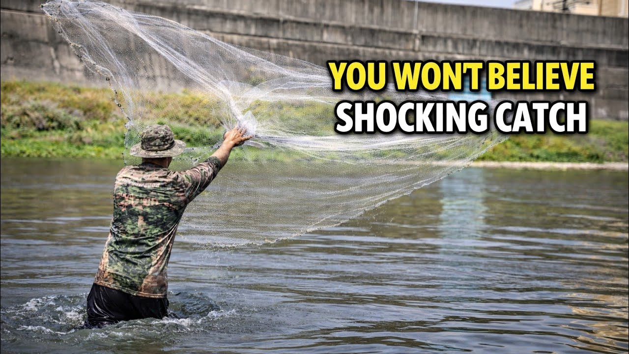 Net fishing in village river, Best net fishing video, traditional net fishing video