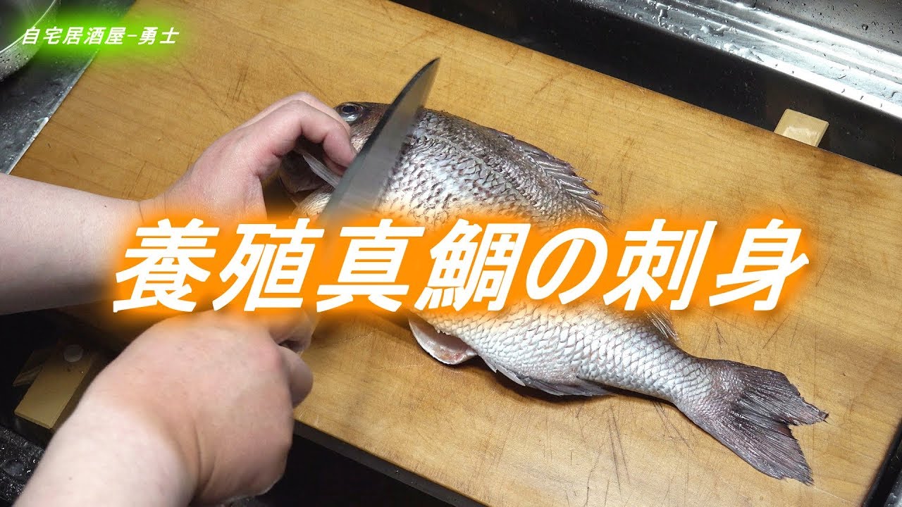 養殖真鯛のさばき方と刺身の美味しい食べ方