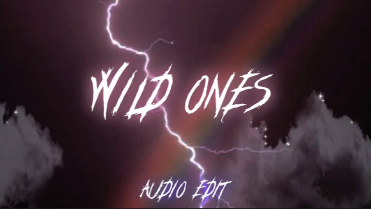 Wild Ones- Flo Rida, Sia {audio edit}