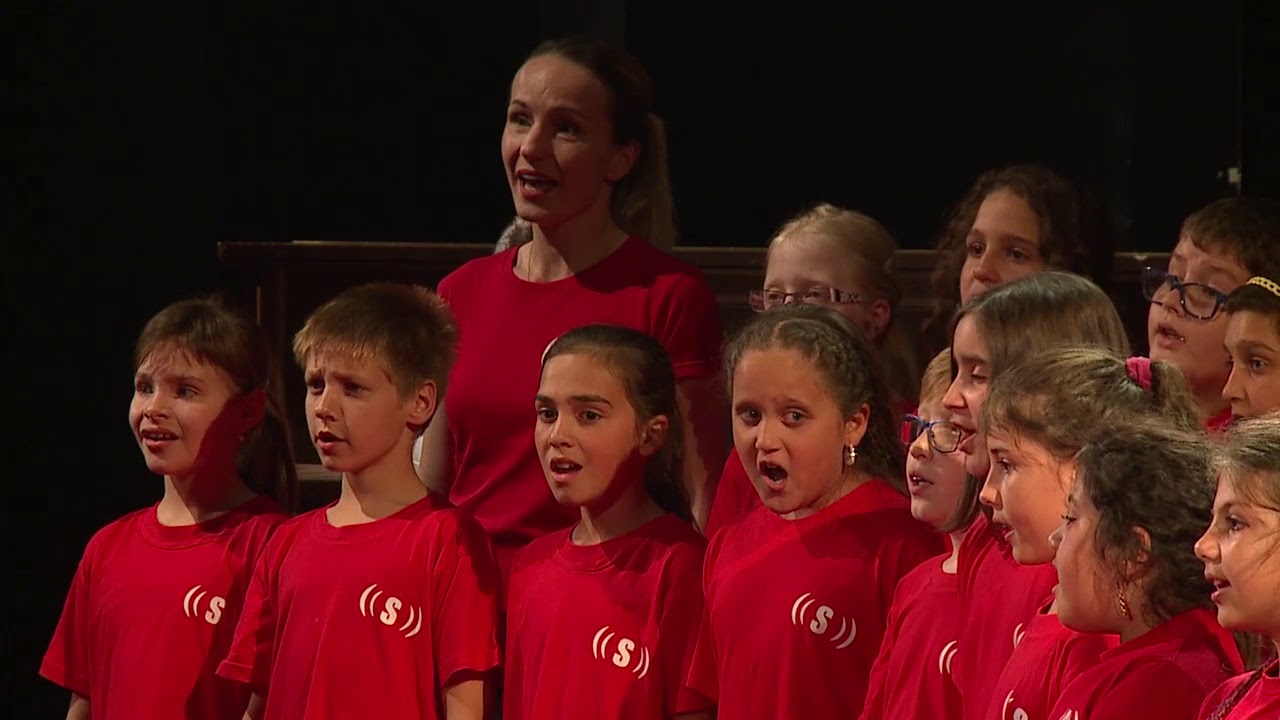 Prekonávanie bariér pomocou hudby | Spevácky zbor Superar | TEDxBratislava