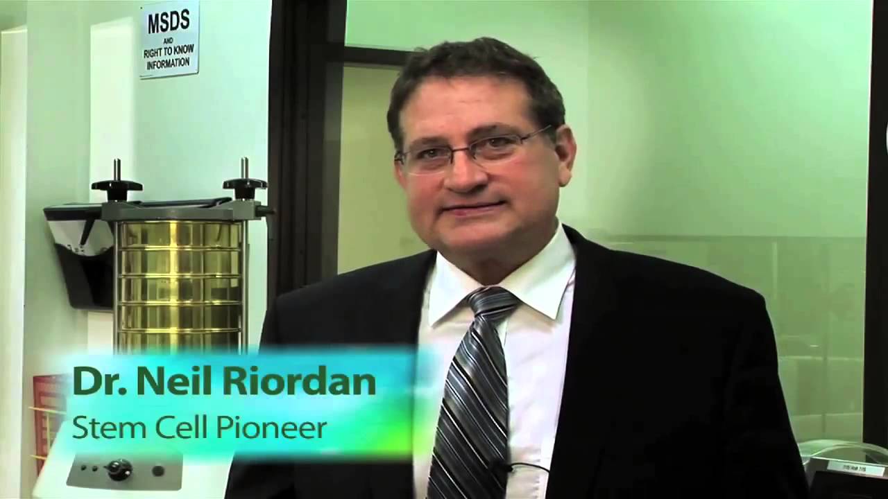 Why Stem Cell Nutrition for Healthy Repair System