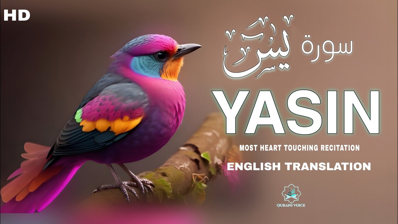 Surah Yaseen سورۃ یٰسین (Yasin) | Soothing & Healing | Inner Peace, Calm & Relaxing | waves of Quran