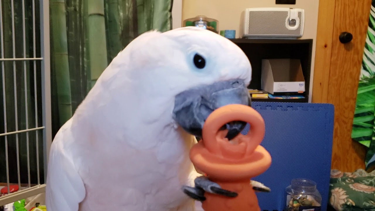 Max Scares Me Some Times!