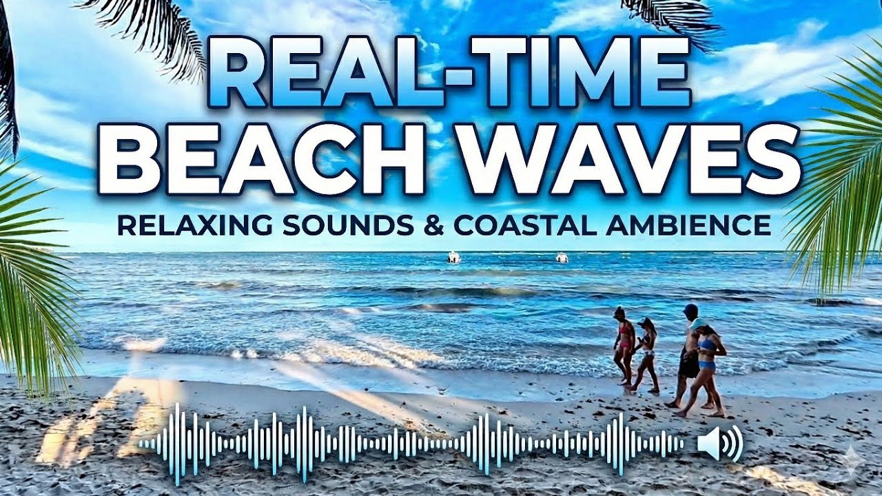 Real-Time Beach Waves 🌊 Relaxing Sounds & Coastal Ambience #asmr 