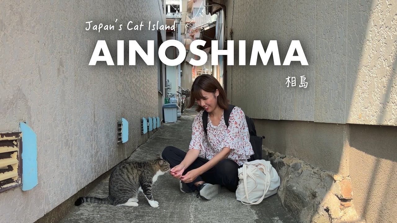 Японский остров кошек 🇯🇵 Кошек больше, чем людей | Уютное сольное путешествие на Айносима, Фукуока