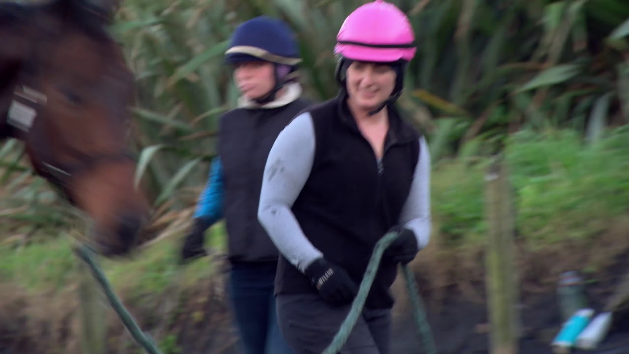 Thoroughbred Training