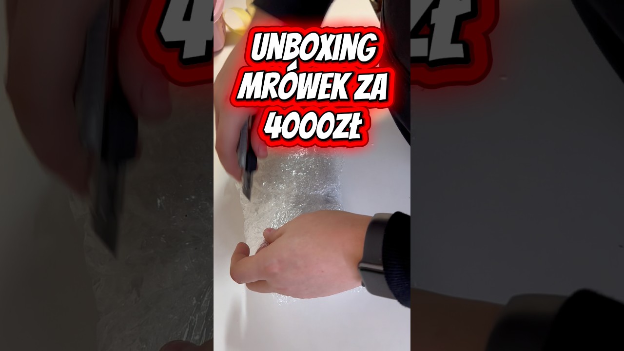 Otwieramy paczkę z mr&oacute;wkami o wartości 4000zl 💪😁🥰😍🥹