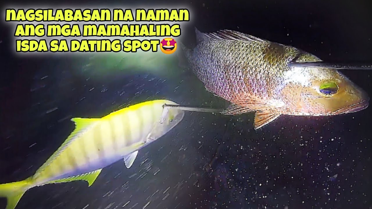 NAGSILABASAN NA NAMAN ANG MGA MAMAHALING ISDA SA DATING SPOT🤩 #kapanatv #fishing #seafood #viral