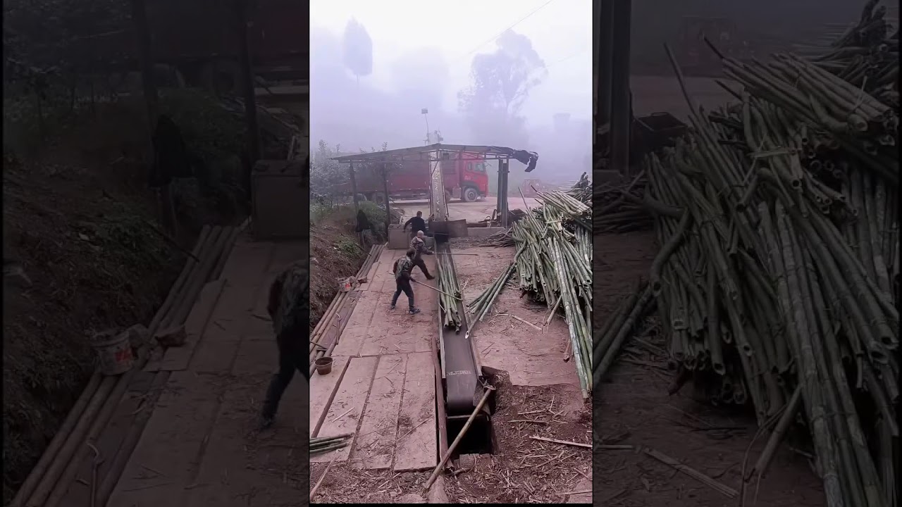 The Power of Machinery: Giant Log vs. Industrial Saws